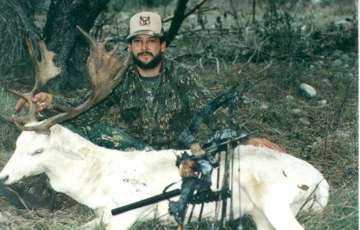 Fallow Deer