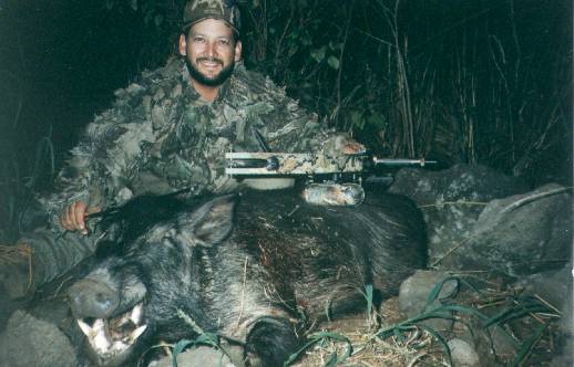 Wild Boar