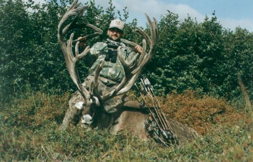 Caribou