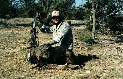 Javelina
