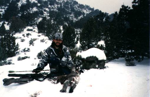 Mountain Lion